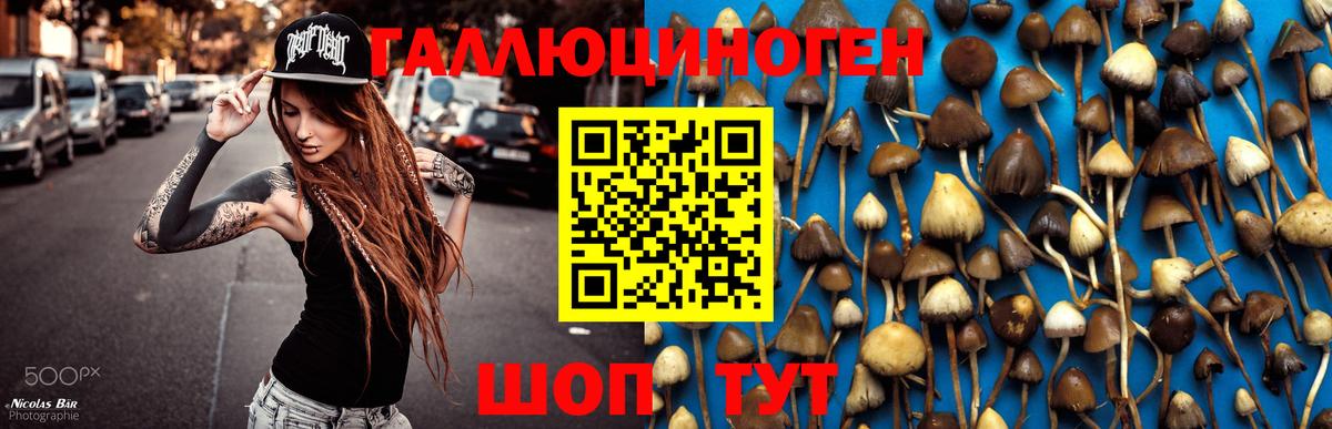 Псилоцибиновые грибы Magic Shrooms Улан-Удэ
